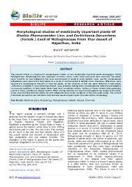 Image result for Corbichonia decumbens