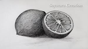 How to draw realistic lemon fruit with prismacolor premier. How To Draw Lemons Step By Step Still Life Pencil Sketch Drawing For Beginners Youtube
