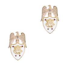 Image result for Insignia White 1990 US Government