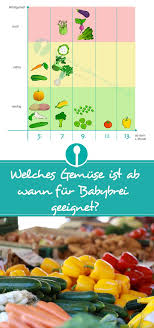 Brot enthält relativ viel salz (im teig und z.t. Infografik Welches Gemuse Ist Ab Wann Fur Babybrei Geeignet Babybrei Babybrei Rezepte Beikost