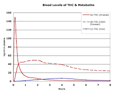 Marijuana Drug Test Detection Times Canorml