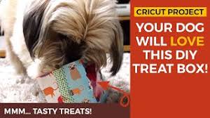 A diy tennis ball foxtail. Diy Dog Puzzle Toys Homemade Dog Enrichment Ideas Craft With Sarah