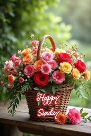 Flowers - 🥀🌹Happy Sunday🌹🥀Dear friends🌼 ⚘️Beautiful Flowers #83shubh |  Facebook