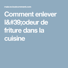 Comment Enlever L 39 Odeur De Friture Dans La Cuisine Odeur Urine Odeur Urine De Chat