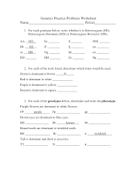 The handouts are application oriented and supplemental to the more important thing like creating in the classroom and hands on labs. Genetic Problems Monohybrid Worksheet Answers Genetics Practice Problems 3 Monohybrid Problems Worksheet 1 Answers