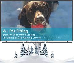 1 ba · short term · madison, wi. Home A Pet Sitting And Dog Walking Madison Wi