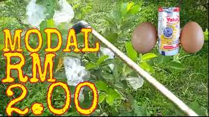 [jika di pasar ada banyak daun sayur yang masih hijau dibuang, boleh diambil dengan percuma. Pembuatan Baja Sendiri Rujukan Pembuatan Baja Organik Pelbagai By Amiz Xios Medium