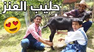 فطور في المزرعة من حليب العنز youtube