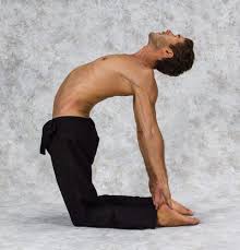 But good luck getting one to do it. How To Do Camel Pose Vikasa