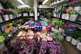 We did not find results for: South Coast Wholesale Flowers 533 Photos 93 Reviews Florists 231 E Dyer Santa Ana Ca Phone Number Yelp