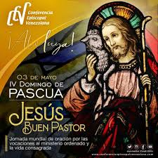 Los usuarios votaron comentarios sobre el buen pastor. Mensaje Del Papa Francisco Para La 57 Jornada Mundial De Oracion Por Las Vocaciones