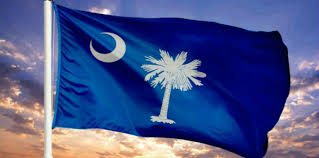 Image result for south carolina state flag
