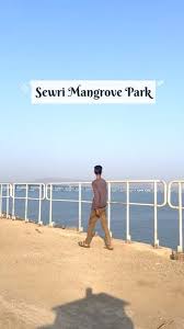 Sewri Fort Mumbai