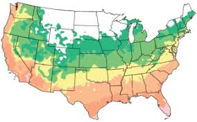 It also briefly discusses the. States At Arborday Org