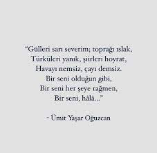 Eloğlu moved from istanbul to cologne as a four year old. Illustrasyon Panosundaki Pin