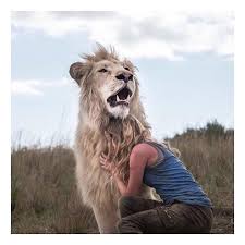 Daniah de villiers çektiği filmleri. Pin Auf Daniah And Thor