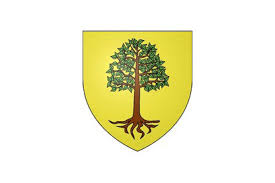 The inhabitants of the commune are known as aulnaysiens or aulnaysiennes. Aulnay Sous Bois Flag Available To Buy Flagsok Com