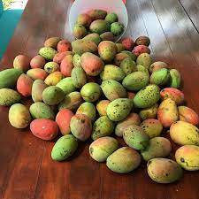 Pin On Delectable Dietetics Fun From Instagram