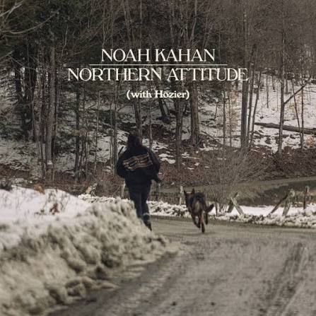 Cover art for Northern Attitude by Noah Kahan ft. Hozier
