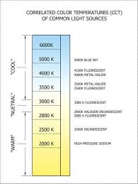 Choosing The Right Led Bulbs