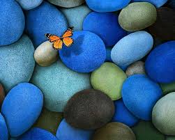 Find the best hd wallpaper for mobile on getwallpapers. Download Mobile Wallpaper Butterflies Insects Background Stones Free 21566