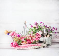 Use scissors to cut the flower as close to the bottom of the bloom as possible (image 1). 10 Ingenious Pressed Flower Gifts Tip Junkie
