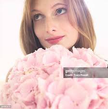 298 Tracy Crisp Stock Photos, High-Res Pictures, and Images