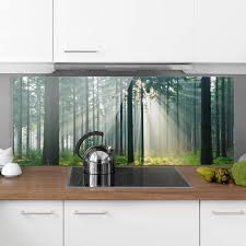 Spritzschutz Glas Enlightened Forest Panorama Quer Spritzschutz Kuche Spritzschutz Haus Interieurs