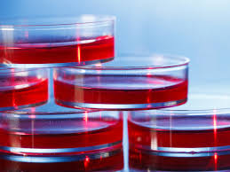 Msc tested fetal bovine sera. Improvements In Co2 Incubators For Cell Cultures Biocompare The Buyer S Guide For Life Scientists