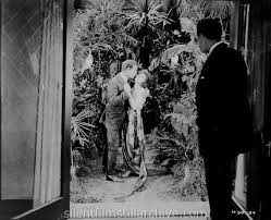 More Deadly Than the Male (1919)