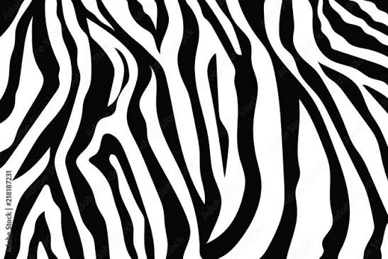 Poster, Print Zebra Stripes Pattern, 40x26.7 cm