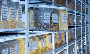 One advantage canada has over very many other countries is that it is easier the seed bank based in british columbia. Storing Seeds How To Preserve Seeds For Years Epic Gardening