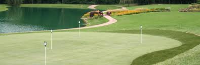 Andrews opened a public mini golf course, the himalayas, which is still in operation. Tour Greens Mid Atlantic Backyard Golf Courses