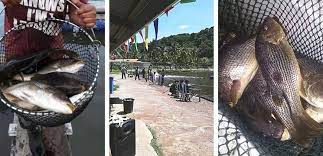 Senarai tempat menarik di terengganu termasuk di waktu malam sedang dikemaskinikan. 30 Tempat Menarik Di Kemaman Edisi 2021 Terengganu