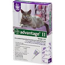 Alternatively, increase the amount of fat in your cat's diet to help it get the right nutrients for healthy skin. Advantage Ii Once A Month Cat Kitten Topical Flea Treatment Flea Treatment Cat Has Fleas Cats And Kittens
