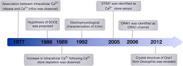 Always follow the manufacturer's installation requirements and recommendations. Frontiers Orai1 Ca2 Channel As A Therapeutic Target In Pathological Vascular Remodelling Cell And Developmental Biology