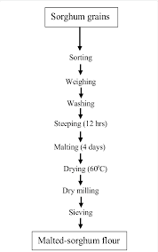 Flow Chart For The Production Of Malted Sorghum Flour