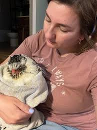 My Yellow Fever is getting worse and worse...