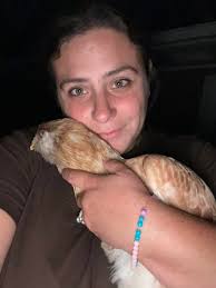 How to help a stressed chicken after transition?