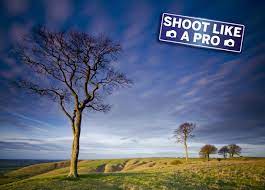 Best Mirrorless Camera 2021 The 17 Best Models On The Planet Landscape Photography Tips Photography Basics Landscape Photography