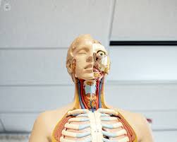 Human papillomavirus is linked to cancers in the back of the throat, including tongue and tonsil cancers. The Causes Of Throat Cancer