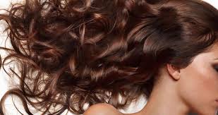 Search by city or zip code. Home Chiara Salon Serving Elmwood Park Itasca Galewood Oak Park And River Forest