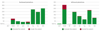 Effects Of Bushfires And Covid 19 On The Forestry And Wood Processing Sectors Department Of Agriculture