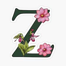 Check spelling or type a new query. Letter Z Initial Monogram Alphabet Letter Flowers Ladyslipper Cosmos Pink Photographic Print By Joyce Redbubble
