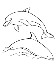 Get your child excited for his next trip to the beach with this bottlenose dolphin coloring sheet. Free Dolphin Coloring Page