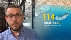 Matthew Bednarczyk's Instagram, Twitter & Facebook