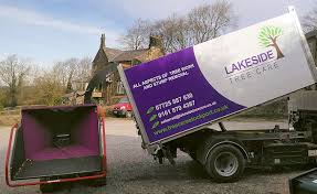 Maybe you would like to learn more about one of these? The Marple Directory Marple Website Sponsors Lakeside Tree Care The Marple Website
