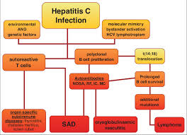 Hepatitis c is one of the most common types of viral hepatitis. Pathogenesis Of Extrahepatic Manifestations In Chronic Hepatitis C Download Scientific Diagram