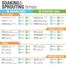 Soaking Sprouting Guide How To Soak And Sprout Grains