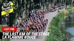 Last Km - Stage 1 - Tour de France Femmes avec Zwift 2024 - YouTube